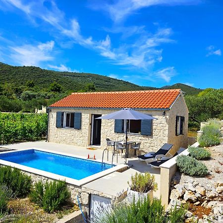 Stone House In Vineyard Βίλα Račišće Εξωτερικό φωτογραφία