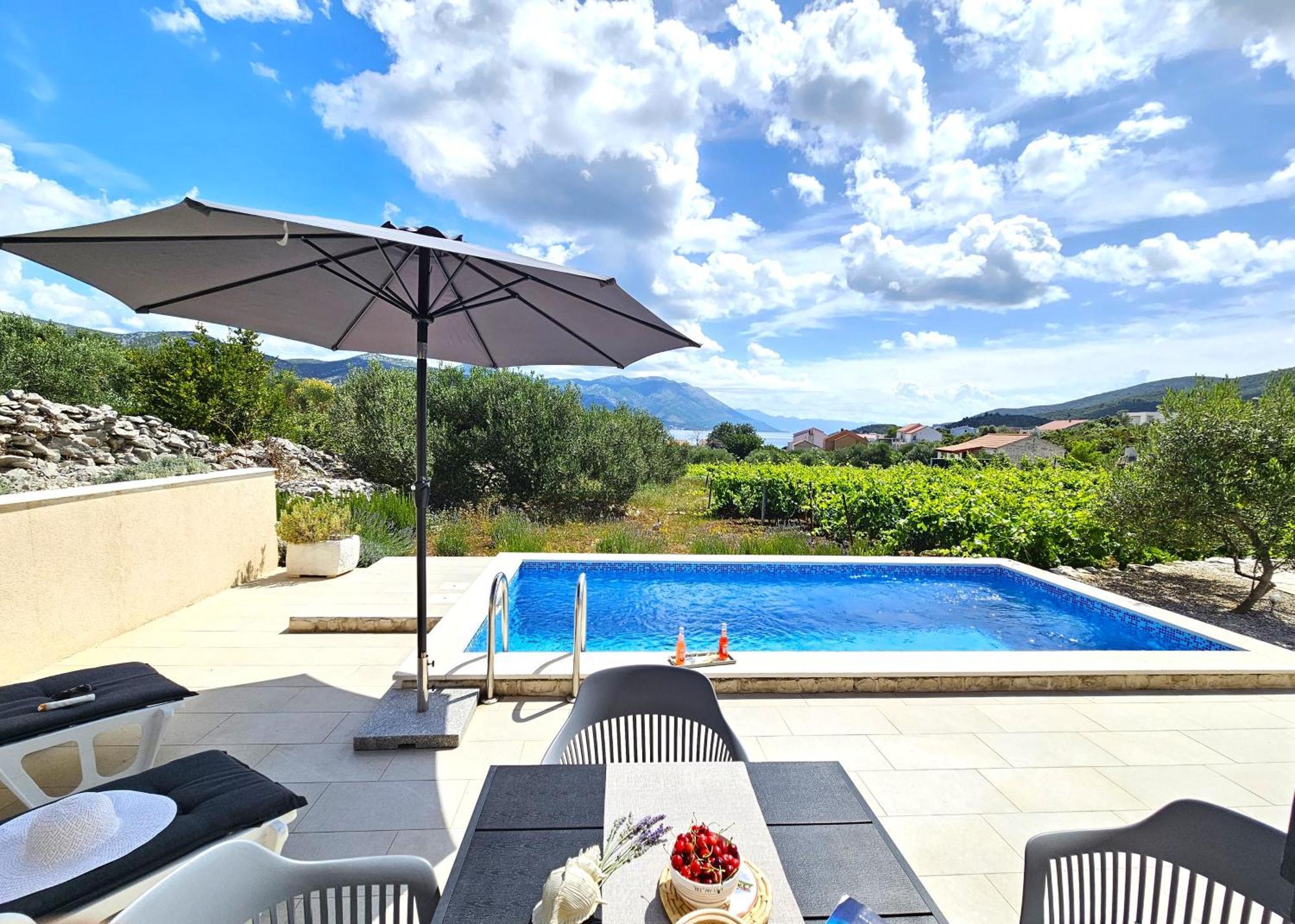 Stone House In Vineyard Βίλα Račišće Εξωτερικό φωτογραφία