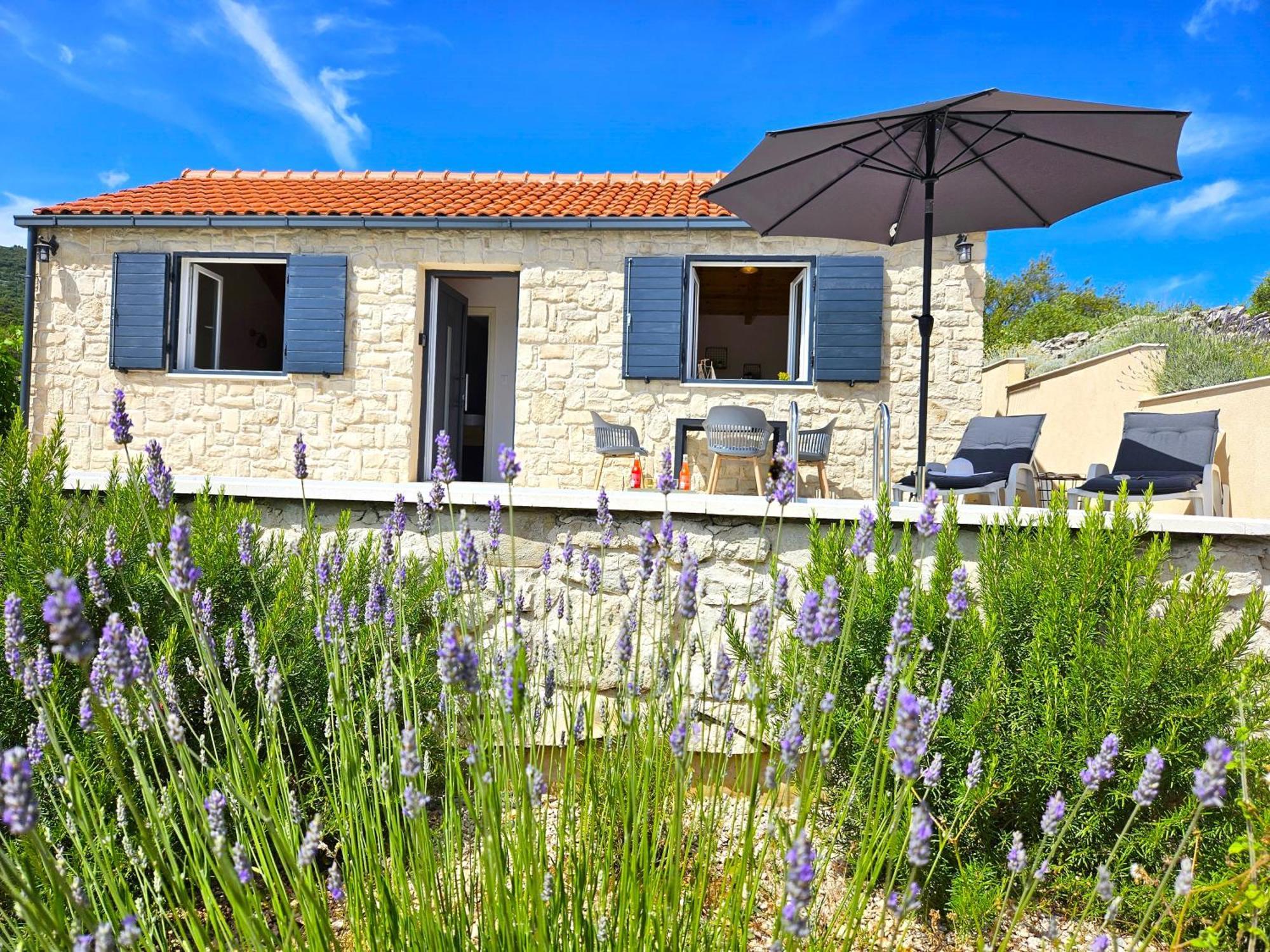 Stone House In Vineyard Βίλα Račišće Εξωτερικό φωτογραφία