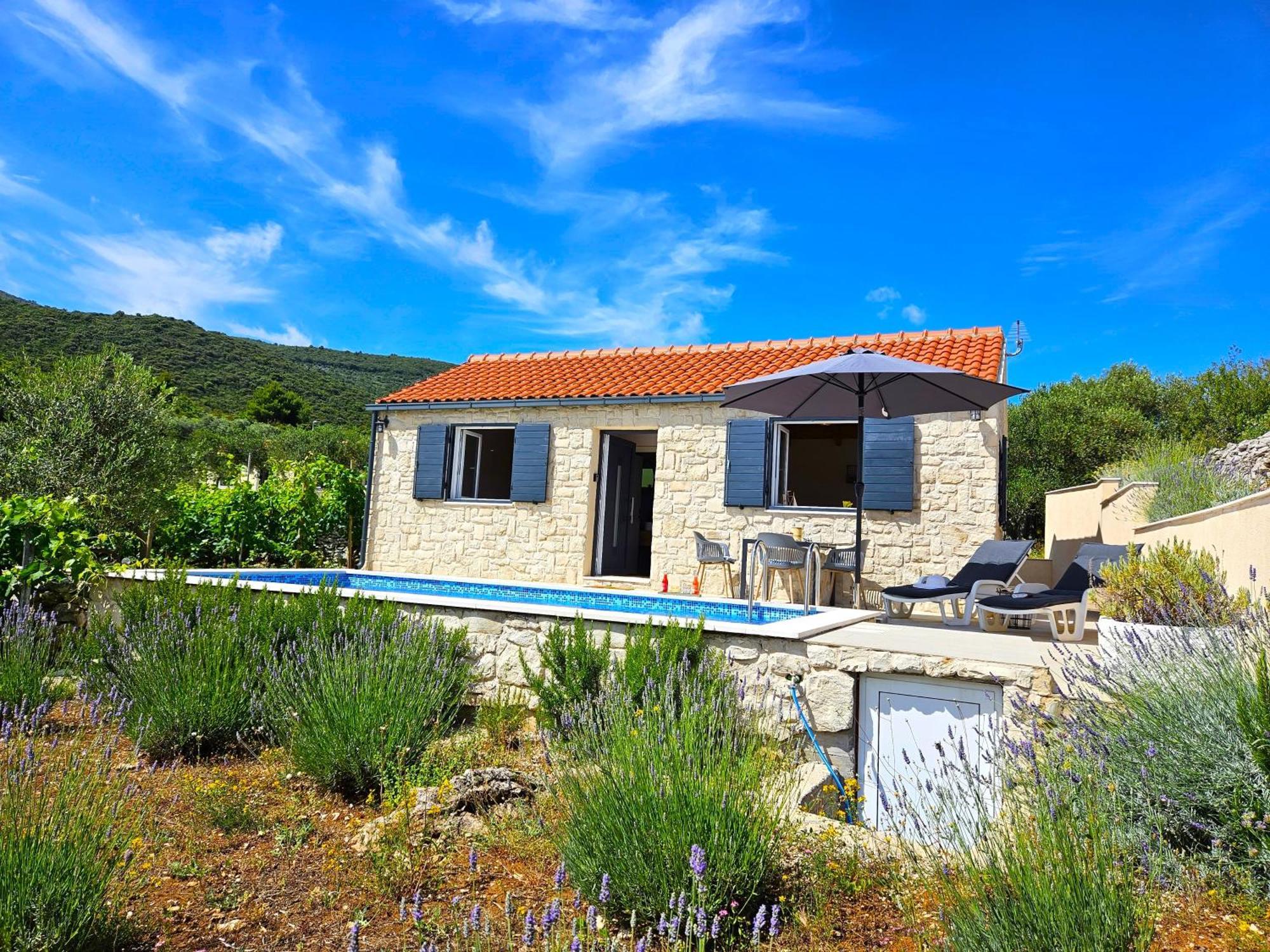 Stone House In Vineyard Βίλα Račišće Εξωτερικό φωτογραφία