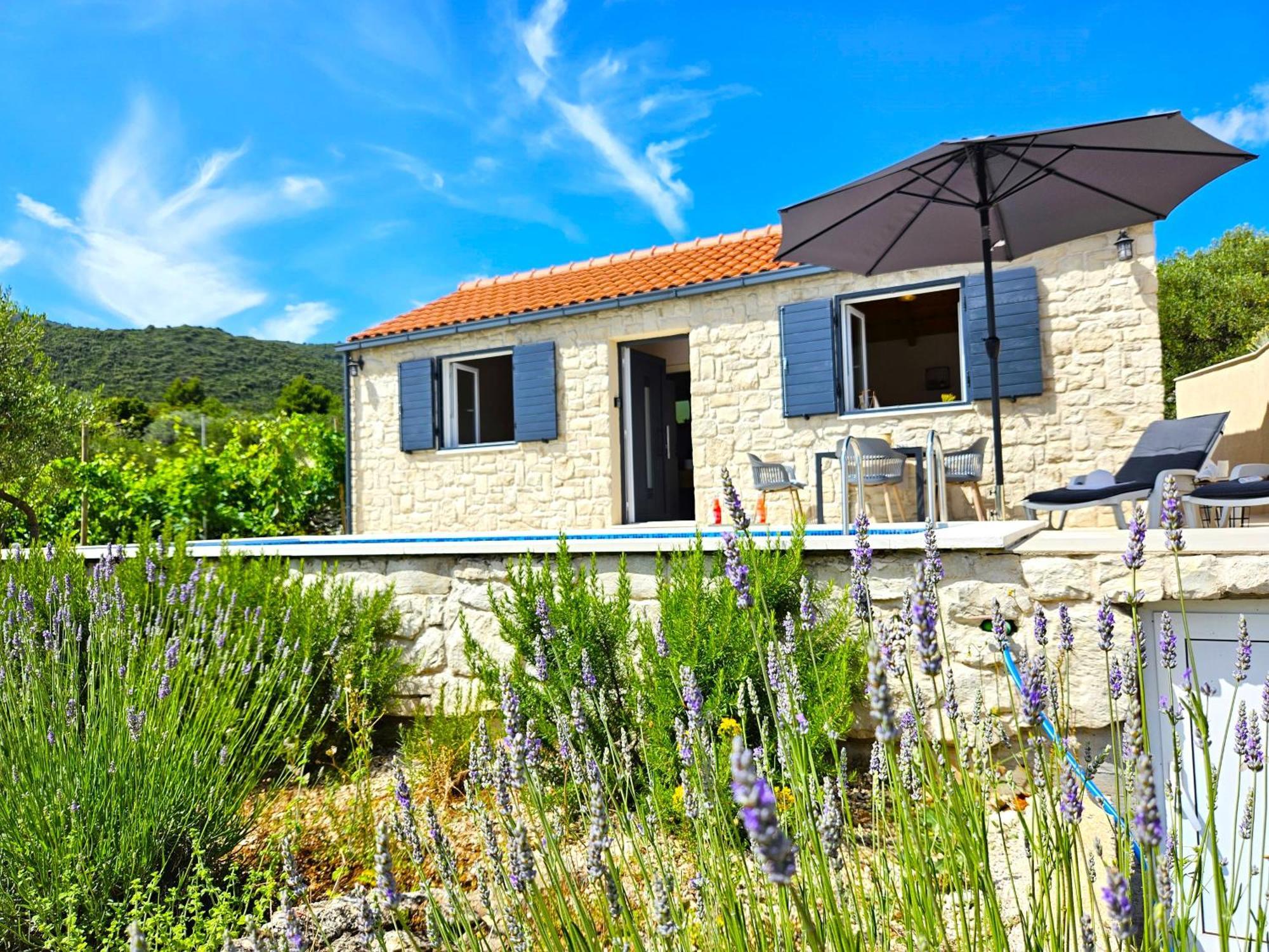 Stone House In Vineyard Βίλα Račišće Εξωτερικό φωτογραφία